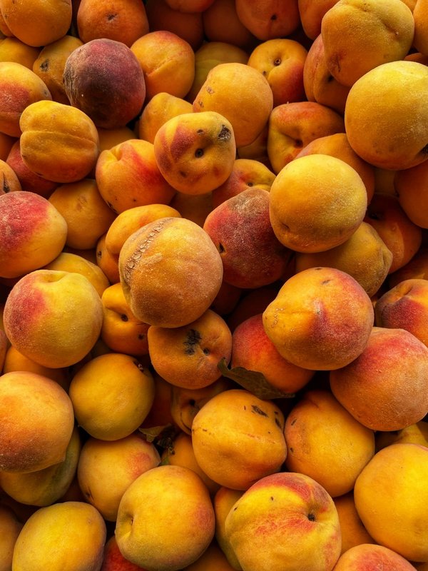 Comment vivre une expérience de pêche traditionnelle avec les pêcheurs locaux en Norvège ?