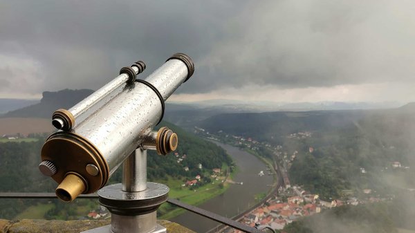 Où observer les oiseaux migrateurs dans les marais de Camargue, France : périodes et lieux ?